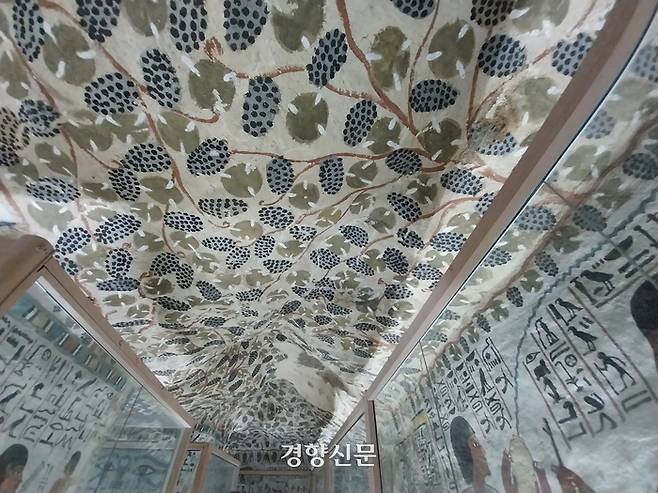 3000여년 전 채색 천장화로는 믿기지 않을 만큼 생생한 색감과 포도송이들로 유명한 ‘세네페르 무덤’의 벽화, 유물 등은 루브르박물관 등에 흩어져 있다. 도재기 선임기자