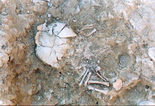 스페인 알토 델라 크루즈 철기시대 유적에서 발굴된 다운증후군 태아 유골./사진=연합뉴스