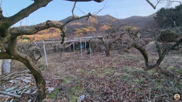 유튜브 채널 '빠머스' 영상