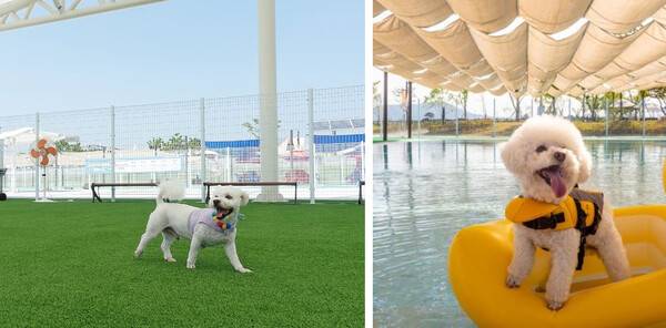 의성 가볼만한 곳 BEST 7 / 온라인 커뮤니티