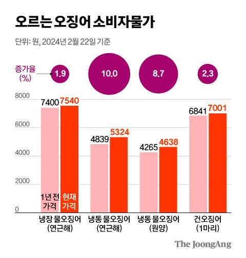 김영희 디자이너