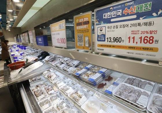 해양수산부는 수산식품 물가 안정세를 이어가기 위해 정부비축 오징어·참조기 할인 행사를 연다고 밝혔다. 사진은 22일 서울 한 대형마트에 진열된 오징어. 연합뉴스