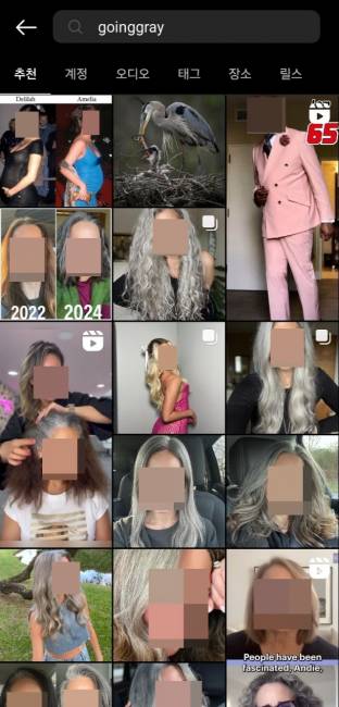 ▲ SNS인 인스타그램에 ‘goinggray’로 검색한 결과 [인스타그램 갈무리]