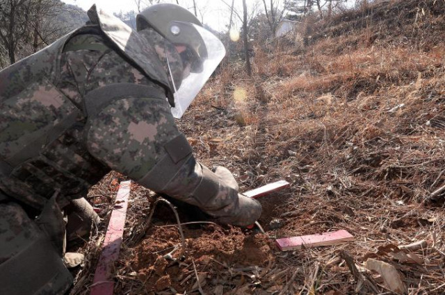 비무장지대 근처에서 발견된 지뢰를 전문 요원이 제고 하고 있다. 사진 제공=육군