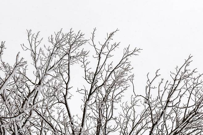 [사진=게티이미지뱅크]