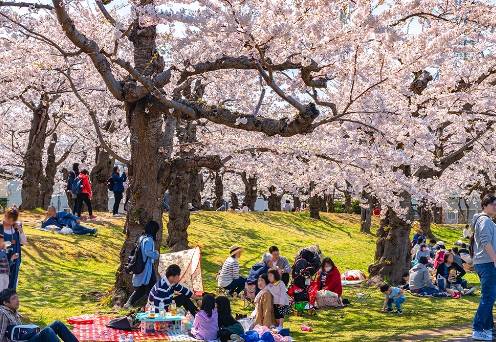 온라인 커뮤니티