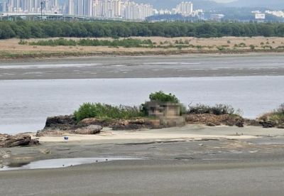 경기도 김포시 걸포동 한강 하구에 있는 독도 [이미지 출처=김포시 제공]