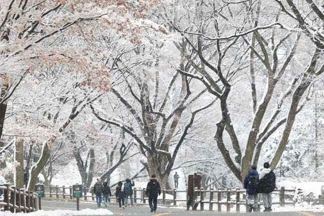 2월의 마지막 일요일인 25일 오전 서울 남산에 눈이 내리고 있다. 뉴시스