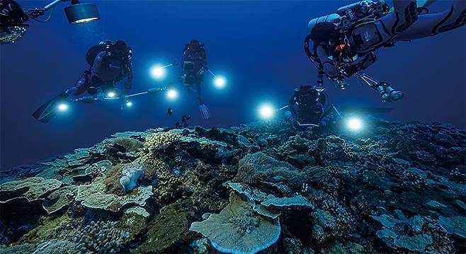 빛이 약한 약광층을 탐사하고 있다. 사우디아라비아 과학자들이 200~1000m 수심에 사는 미생물에서 유전자 3억 개를 찾았다. 사진 유네스코