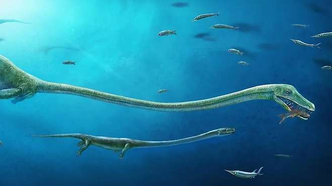 2억 4000만년 전 중국 바다에 살았을 것으로 추정되는 다이노케팔로사우루스 오리엔탈리스 상상도. 사진=브리스톨 대학교