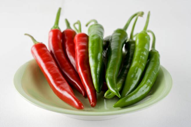 지방 소모량을 높이는데 도움을 주는 음식들을 섭취하면, 다이어트 성공률이 높아질 수 있다. [사진=클립아트코리아]