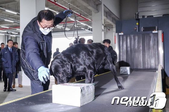 인천 연수구 인천세관 통합검사센터에서 탐지견이 마약류 탐지 시범을 보이고 있다. 뉴스1