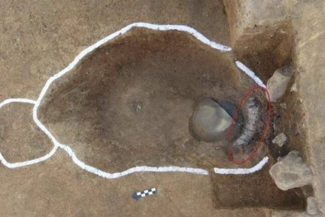 유적 구덩이에서 칠피갑옷이 출토되는 광경(사진 오른쪽 아랫부분). 국립부여문화재연구소 제공