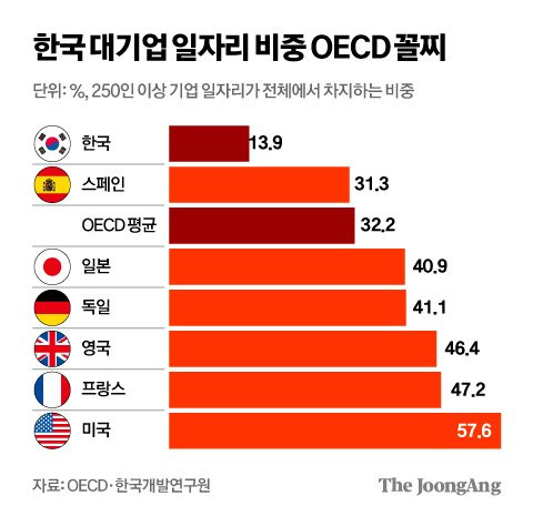 김영희 디자이너