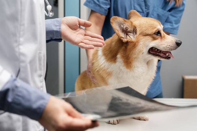 ⓒ freepik