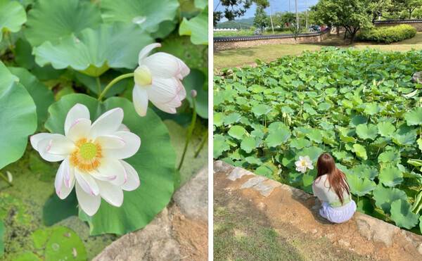 시흥 가볼만한곳 BEST 7 /&nbsp;@suin2_