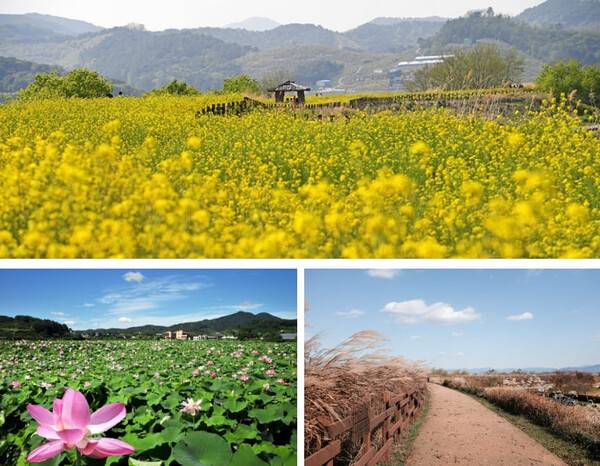 창원 가볼만한 곳 BEST 5 / 온라인 커뮤니티