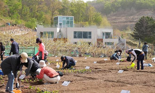 중랑행복농장 텃밭 [중랑구 제공. 재판매 및 DB 금지]