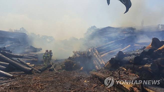 목재 야적장 화재 사진은 본 기사와 관계 없습니다. [연합뉴스 자료사진]