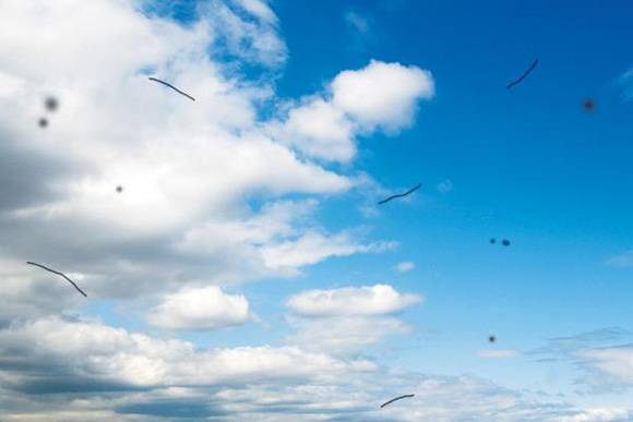 눈앞에 계속 벌레가 날아다니는 듯하다면 비문증을 한 번쯤 의심해봐야 한다./헬스조선 DB