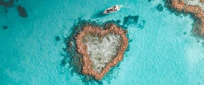 해밀턴 아일랜드 인근 대장 산호초 하트섬