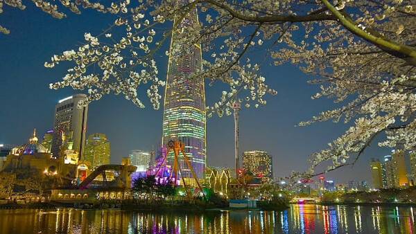 온라인 커뮤니티