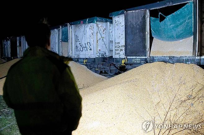 폴란드 농민들이 화물열차에서 쏟아버린 우크라이나산 곡물 [AFP 연합뉴스 자료사진. 재판매 및 DB 금지]