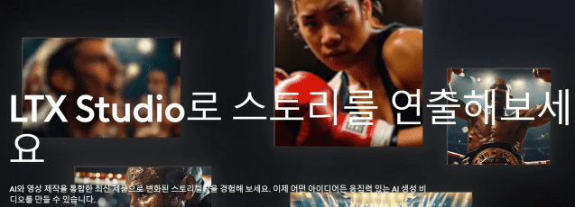 (라이트릭스 홈페이지 스크린샷)