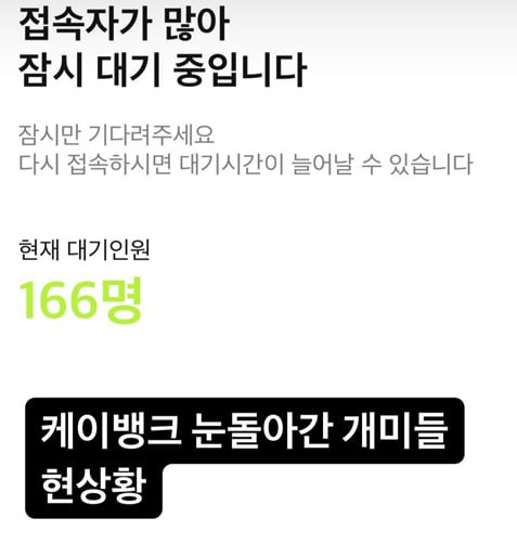 텔레그램 ‘치코의 코인상자’ 갈무리