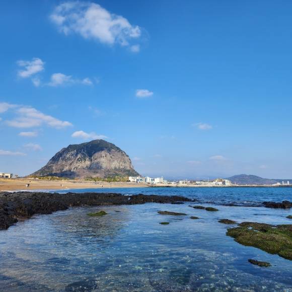 제주 올레길 10코스.