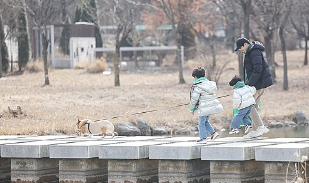 지난달 13일 서울 마포구 평화의 공원에서 한 가족이 강아지를 산책시키고 있다. ⓒ연합뉴스