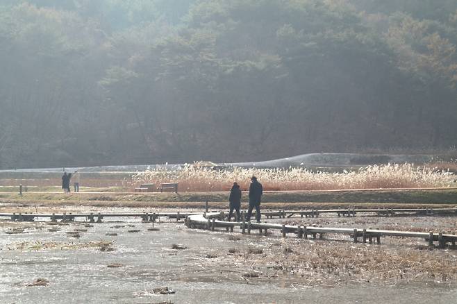 일 충북 청주시 상당산성 자연마당 생태습지 모습. /사진=뉴스1