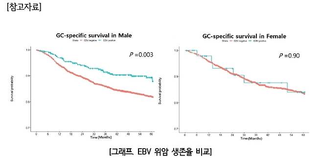 남성(왼쪽) 에서는 EBV 위암(파란색)이 그 외 위암(붉은색)에 비해 높은 생존율을 보였으나 여성(오른쪽)에서는 그러한 차이가 드러나지 않았다