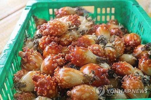 싱싱한 통영 멍게 [연합뉴스 자료사진]
