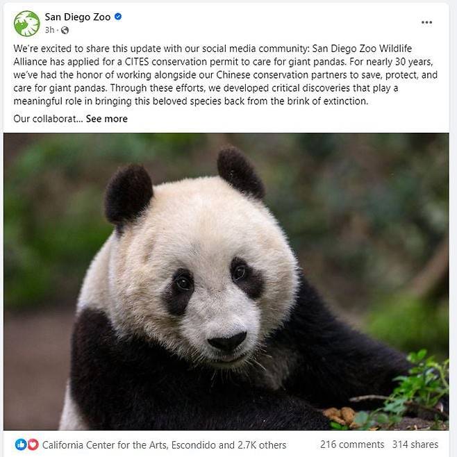 미국 캘리포니아주 샌디에이고 동물원은 2월22일 페이스북을 통해 판다가 다시 온다는 소식을 전했다. 이 동물원은 2019년 계약 종료에 따라 바이윈(白雲)과 샤오리우(小禮物) 등 마지막 남은 두 마리 판다를 중국으로 돌려보냈다. /샌디에이고 동물원