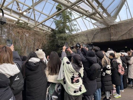 3일 경기 용인시 에버랜드 판다월드를 찾은 관람객들이 스마트폰과 카메라로 푸바오를 담고 있다. 장서윤 기자