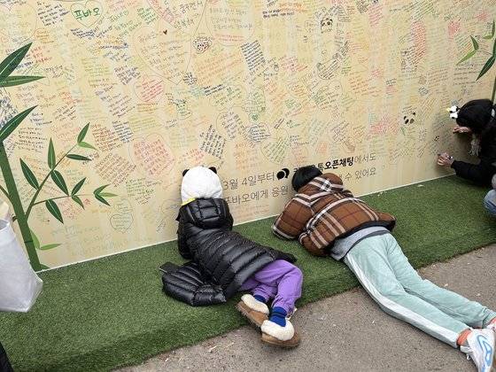 3일 오전 경기 용인시 에버랜드 판다월드 입구에 설치된 대형 응원 메시지 보드에 푸바오 팬들이 메시지를 남기고 있다. 장서윤 기자