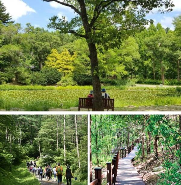 온라인 커뮤니티