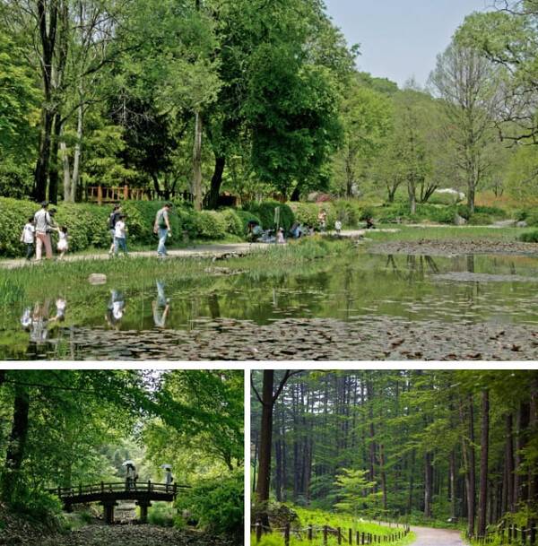 온라인 커뮤니티