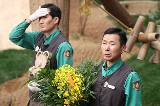 3일 오전 경기 용인시 에버랜드 판다월드에서 다음 달 중국으로 돌아가는 자이언트 판다 '푸바오'의 마지막 공개에 앞서 강철원 사육사(오른쪽)가 푸바오를 소개하고 있다. 왼쪽은 송영관 사육사ⓒ연합뉴스