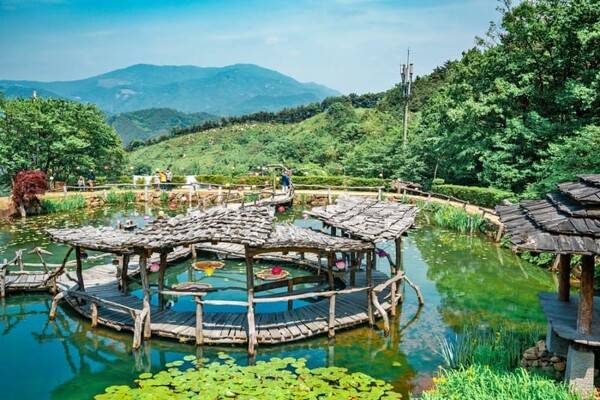 온라인 커뮤니티