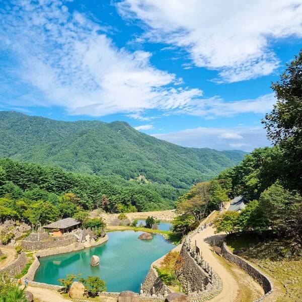 온라인 커뮤니티