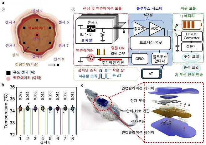 실시간 상처 모니터링 시스템의 개략도. a, 상처 위에 위치한 온도 센서(8개)와 열 액추에이터의 위치를 나타낸 개략도(왼쪽)와 시스템의 작동 다이어그램(오른쪽). b, 평균 표준 편차 0.1도 미만의 정확도를 갖는 온도 측정값. c, 기기 상세 분해도. KAIST