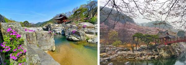 함양 가볼만한 곳 / 온라인 커뮤니티