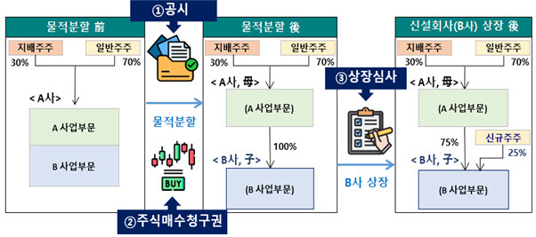 <금융감독원 제공>