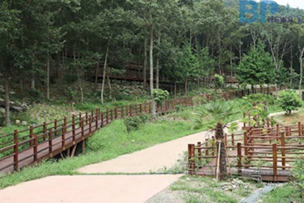 출처: 해남군 (전라남도 3월 숲길 여행)