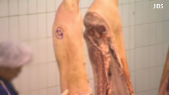 사진은 기사 특정 사실과 관련 없음