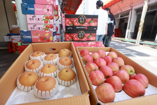 사과 배 사진. 연합뉴스