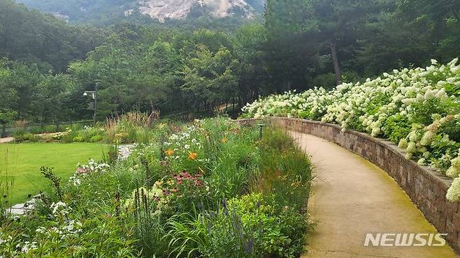 [서울=뉴시스]서울시는 7일 발표한 '매력가든·동행가든 프로젝트'에서 올해 상반기 150여 개소를 시작으로 연내 335개, 2026년까지 총 1007개의 정원을 조성한다고 밝혔다. 지난해 5월 발표한 '정원도시 서울'의 일환이다. 사진은 노원구 불암산. (사진=서울시 제공). 2024.03.07. photo@newsis.com