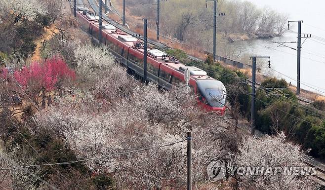 겨울 가고, 봄 오네 [연합뉴스 자료사진]